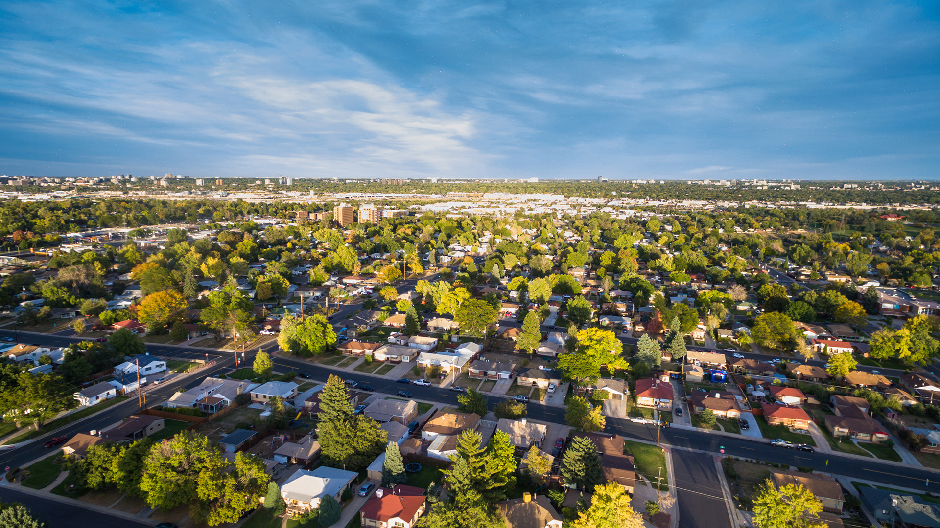 Neighborhood drone shot with trees.