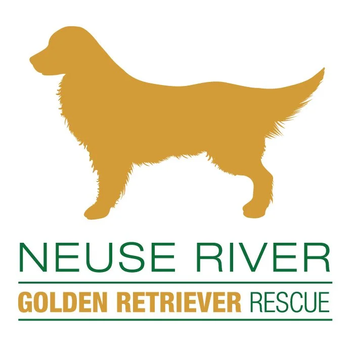 Golden Retriever Rescue